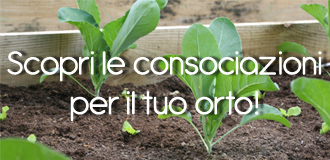 Scopri come fare le consociazioni nel tuo orto