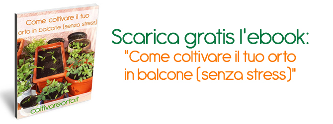 Scarica gratis l'ebook per coltivare l'orto