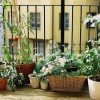 10 cose da sapere prima di iniziare a fare l’orto (2° parte)