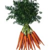 La carota
