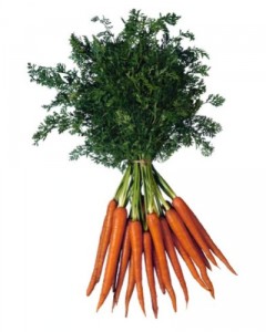 La carota