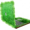 Anche il web diventa ecologico con i motori di ricerca a basso impatto!