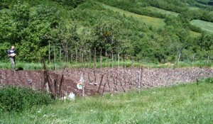 Vangare e zappare orto