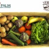 I prodotti biologici di Iris Bio viaggiano sui pallet ecologici di Palm.