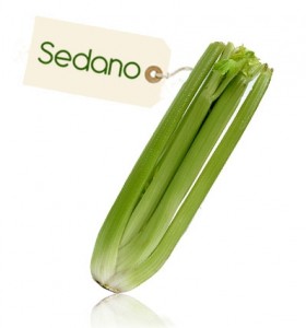 Il sedano