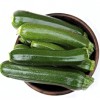 Conserva di zucchine in olio e aceto