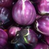 L’esperto risponde: Perché le melanzane siciliane tonde sono diventate gialle?