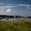 Eden tra cielo e mare: i parchi del Veneto visti da Marco Beck Peccoz