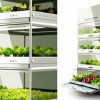 Il mini orto in cucina di Hyundai