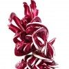 Il radicchio