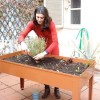 L’orto in un tavolo? Si può!