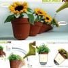 7 vasi moderni e creativi per il tuo orto in balcone