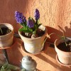 Intervista ad Antonella, hobby farmer da soli 2 mesi!