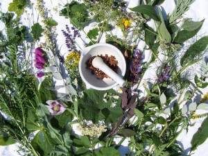 piante officinali