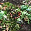 Composti organici: cosa usare e cosa no