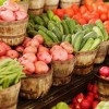Tuberi, foglie, frutti, semi…ecco gli ortaggi!