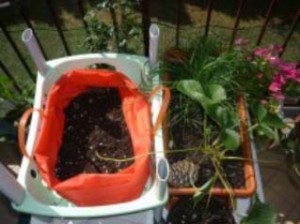 orto balcone_1