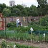 Agricoltura sociale: una riflessione