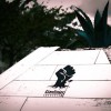 Giardinieri Sovversivi Romani: guerrilla gardening nella capitale!