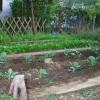 Intervista a Mariassunta, hobby farmer da 20 anni
