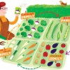 La terra si stanca? La rotazione è la soluzione!