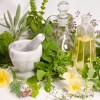 I Fitoterapici vegetali